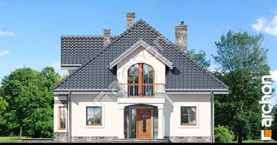 Передній фасад Будинок в тим'яні 10 (П)