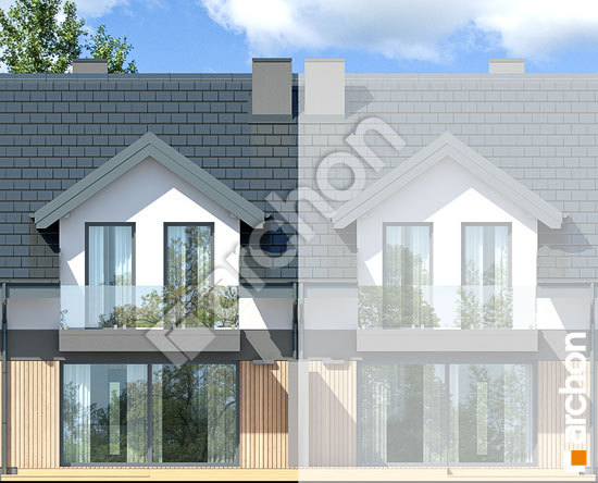 Дворовой фасад Дом в клематисах 2 (С)