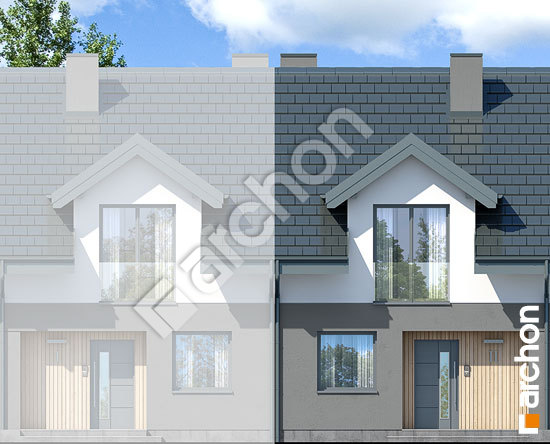 Передний фасад Дом в клематисах 2 (С)