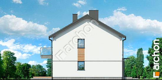 Боковой фасад Дом в облепихе (Р2Б) вер.3