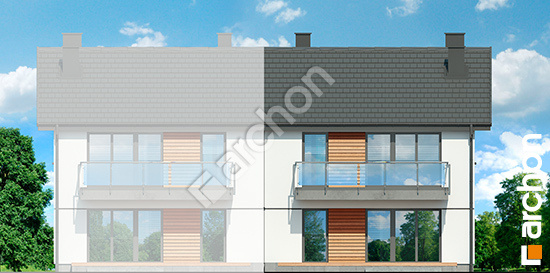 Дворовой фасад Дом в облепихе (Р2Б) вер.3