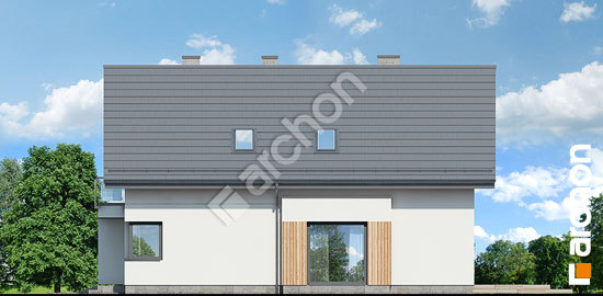 Боковой фасад Дом в плантагинесах