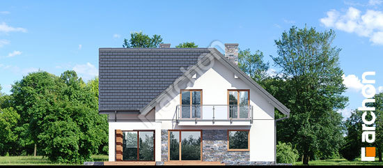 Дворовой фасад Дом в крокосмиях (Г2)