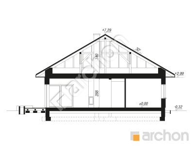 Проєкт будинку ARCHON+ Будинок в хакетіях 14 (ГЕ) Розріз будинку