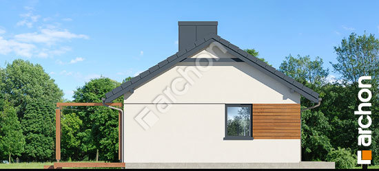 Бочний фасад Будинок в коручках 2