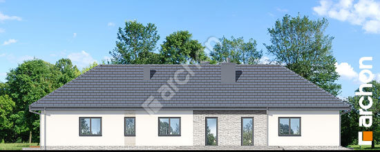 Боковой фасад Дом в араукариях (Г2)