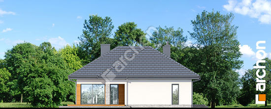 Дворовой фасад Дом в араукариях (Г2)