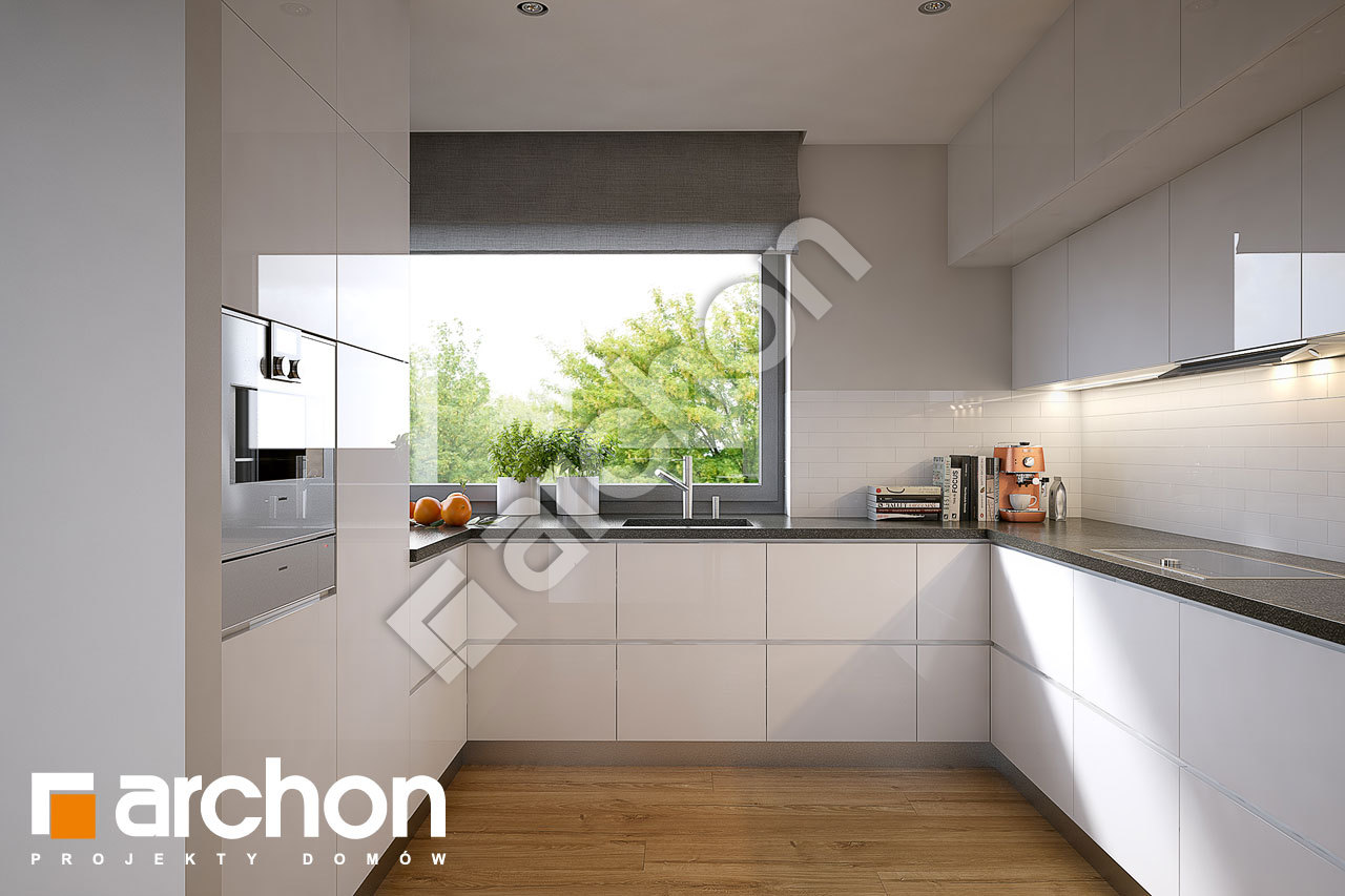 Проект будинку ARCHON+ Будинок в араукаріях (Г2) візуалізація кухні 1 від 1