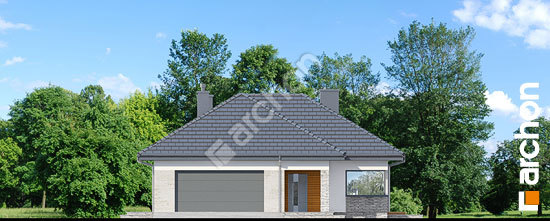 Передній фасад Будинок в араукаріях (Г2)