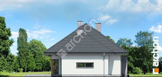 Бочний фасад Будинок під червоною горобиною (ДМН) вер.2