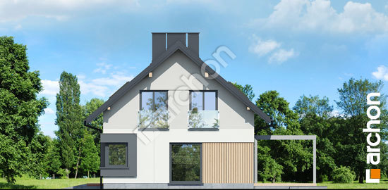 Бочний фасад Будинок в кортадеріях (Г)