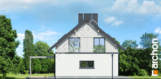 Боковой фасад Дом в кортадериях (Г)