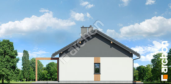 Бочний фасад Будинок в баллотах