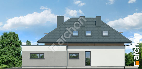 Бочний фасад Будинок в підсніжниках 14 (Г2)