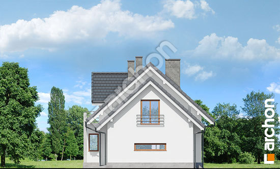 Боковой фасад Дом в ананасах (H) вер.2