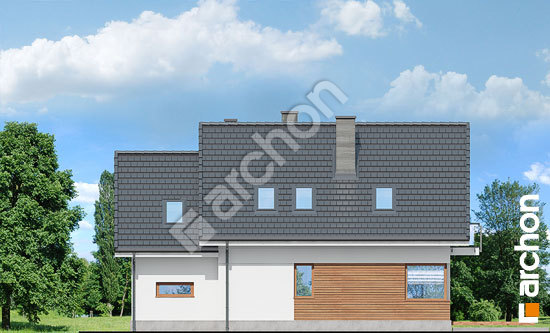 Дворовий фасад Будинок в ананасах (Н) вер.2