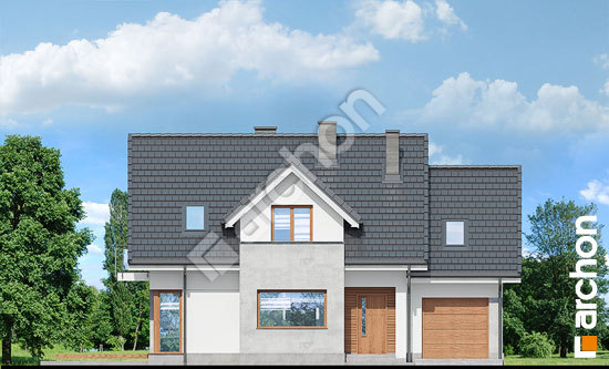 Передний фасад Дом в ананасах (H) вер.2