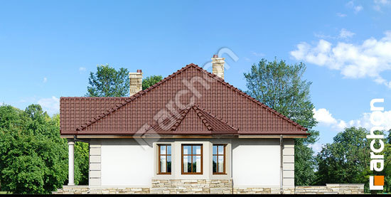 Боковой фасад Дом под красной рябиной 6 вер. 2