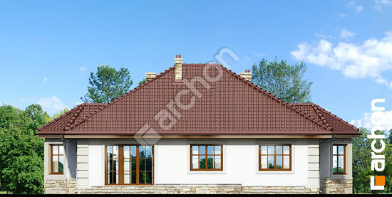 Дворовой фасад Дом под красной рябиной 6 вер. 2