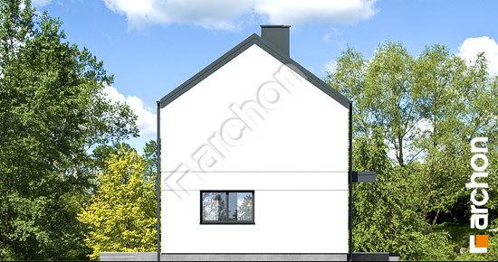 Боковой фасад Дом в ирисе 4 (Г)