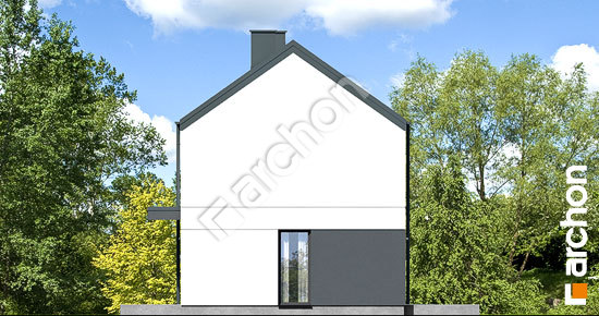 Боковой фасад Дом в ирисе 4 (Г)