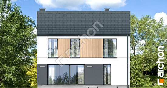 Дворовий фасад Будинок в ірисах 4 (Г)