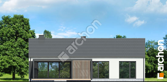 Дворовий фасад Будинок в ірисах 2 (Н) ВДЕ