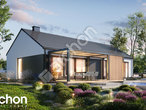 Проект будинку ARCHON+ Будинок в ірисах 2 (Н) ВДЕ додаткова візуалізація