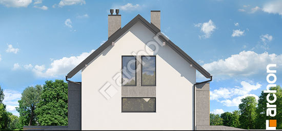 Боковой фасад Дом в аурорах 10 (Г2)