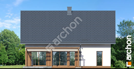 Дворовий фасад Будинок в аммобіумі (Г2Е) ВДЕ