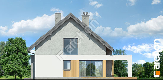 Бочний фасад Будинок в золотоні