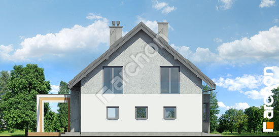 Бочний фасад Будинок в золотоні