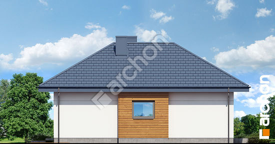 Боковой фасад Дом в коштелях