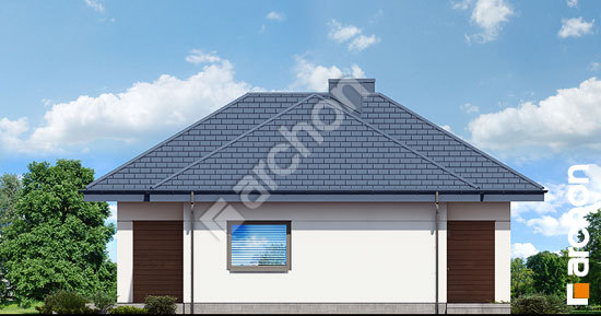 Боковой фасад Дом в коштелях