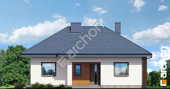 Передний фасад Дом в коштелях