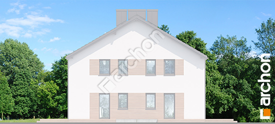 Бочний фасад Будинок в воронячому оці (Р2Б) вер.2