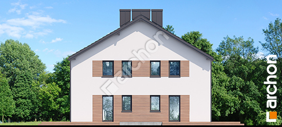 Бочний фасад Будинок в воронячому оці (Р2Б) вер.2