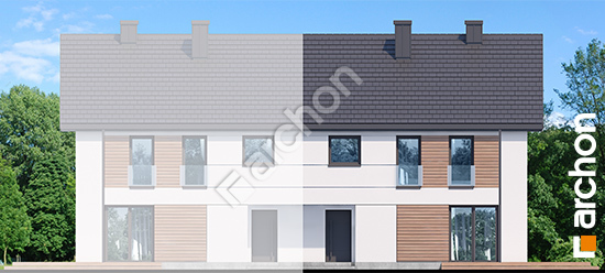 Дворовий фасад Будинок в воронячому оці (Р2Б) вер.2