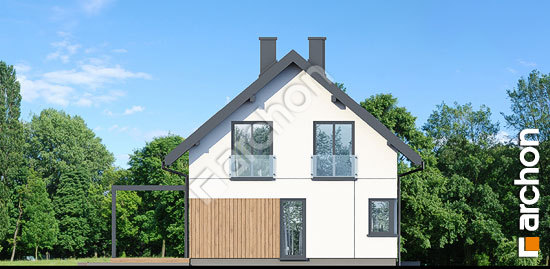 Бочний фасад Будинок у аґрусі 2