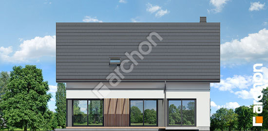 Дворовий фасад Будинок під персиками (ГЕ) ВДЕ