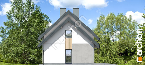 Боковой фасад Дом в марцинках