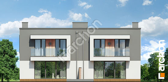 Дворовий фасад Будинок в клематисах 24 (Р2)