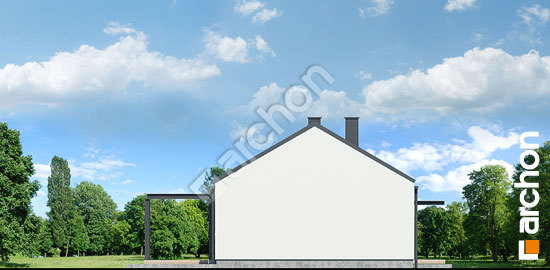 Бочний фасад Будинок в ірисі (НА)