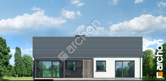 Дворовий фасад Будинок в ірисі (НА)