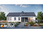 Проект будинку ARCHON+ Будинок в ірисі (НА) 