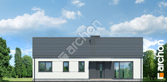 Передній фасад Будинок в ірисі (НА)