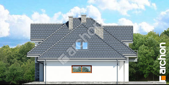 Бочний фасад Будинок в чорнушці 3