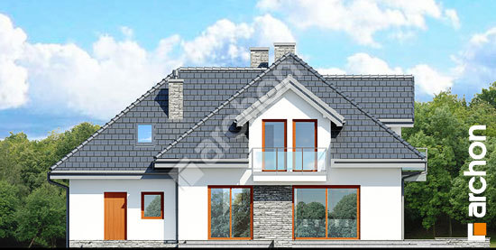 Дворовий фасад Будинок в чорнушці 3