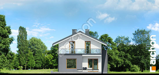 Дворовой фасад Дом под кофейным деревом вер.2