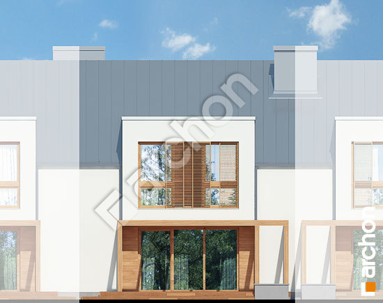 Дворовой фасад Дом в клематисах 22 (С) вер. 2